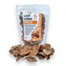 Exotic Pets Beech Leaf Litter (Natural terrarium decor)