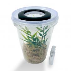 Exotic Pets Essentials Mantis Starter Kit (Housing for young Mantids)