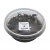 Magic Potion Isopods - Pack of 10