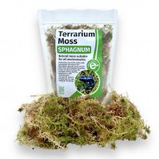 Exotic Pets Live Terrarium Moss