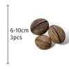Exotic Pets Mintolla Balls - 3 pods per pack (Approx 6-10cm)