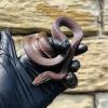 African House Snake - het Albino (CB23) FEMALE No.2 Food: Mouse Fluffs