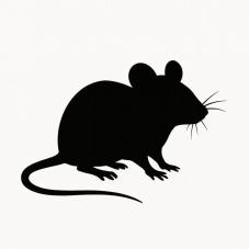 Frozen Mice (Frozen reptile food)