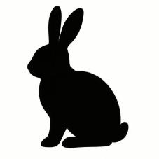 Frozen Rabbits