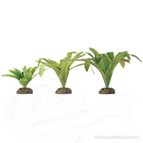 Exo Terra Dart Frog Bromelia