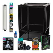 Exotic Pets Essentials Tree Frog Kit