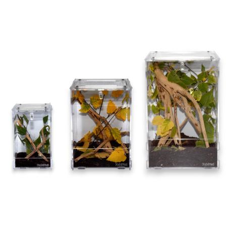 HabiStat Clear Homes