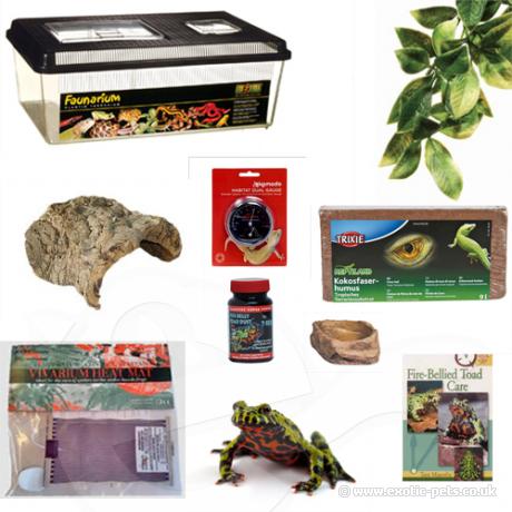 Fire Bellied Toad Plastic Kit