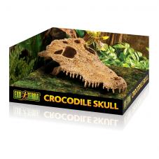 Exo Terra Crocodile Skull (Secure hiding place)