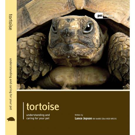 Pet Expert - Tortoise