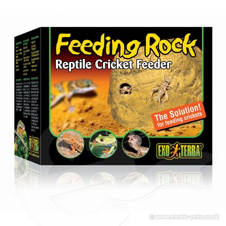 Exo Terra Reptile Cricket Feeder