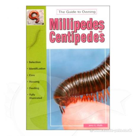 Guide To Owning Millipedes And Centipedes The Author