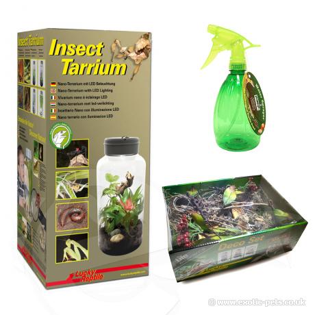 Exotic Pets Praying Mantis Starter Kit