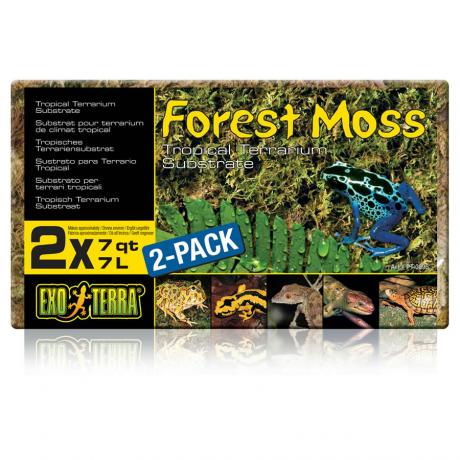 Exo Terra Forest Moss