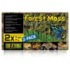 Exo Terra Forest Moss (Dried moss)