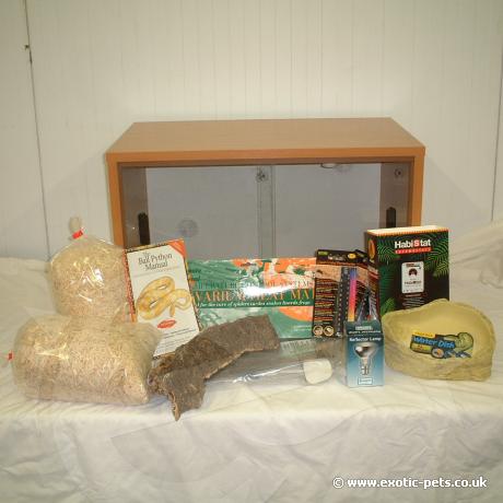 Royal Python Vivarium Starter Kit