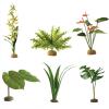 Exo Terra Rainforest Plants photo