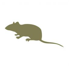 Frozen Mice (Frozen reptile food)