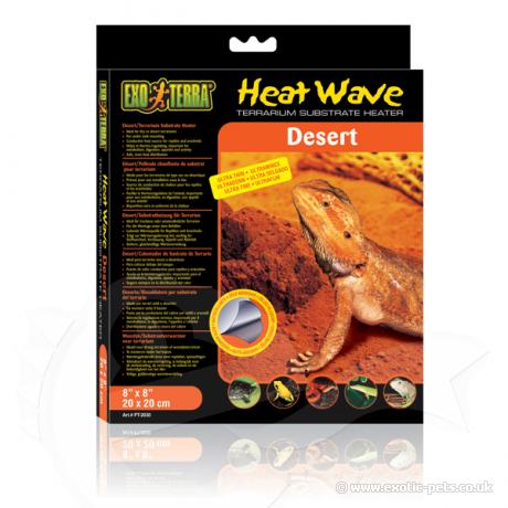 Exo Terra Desert Heatwave