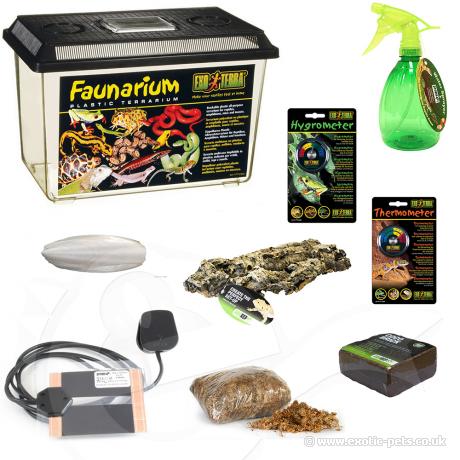 Exotic Pets African Land Snail Starter Kit