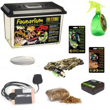 Exotic Pets African Land Snail Starter Kit (Complete Setup)