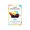 AVS - Land Hermit Crabs photo