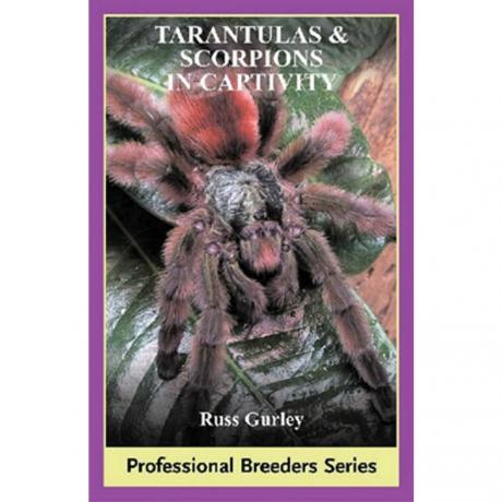 ECO Tarantulas and Scorpions in Captivity