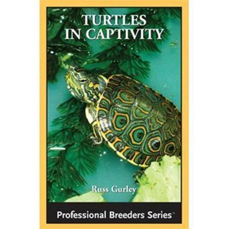 ECO Turtles in Captivity