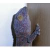 Tokay Gecko - Normal Colour photo