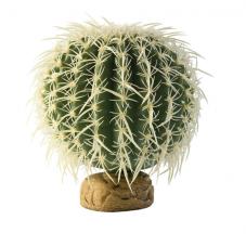 Exo Terra Barrel Cactus (Desert plants)