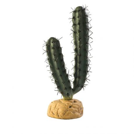 Exo Terra Finger Cactus