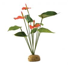 Exo Terra Anthurium Bush (Ground plants)