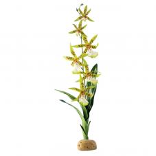 Exo Terra Spider Orchid (Ground plants)