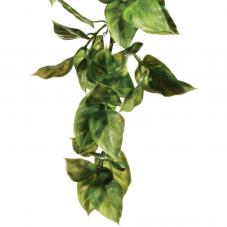 Exo Terra Plastic Plant Amapallo (Hanging plants)