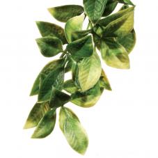 Exo Terra Plastic Plant Mandarin (Hanging plants)