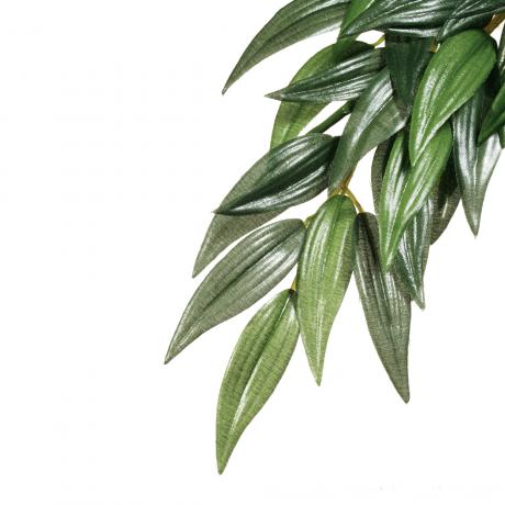 Exo Terra Silk Plant Ruscus