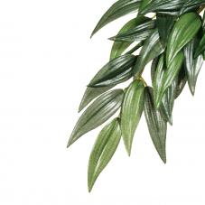 Exo Terra Silk Plant Ruscus (Hanging plants)