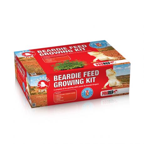 ProRep Beardie Feed Growing Kit