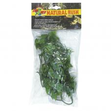 Zoo Med Natural Bush Mexican Phyllo (Plastic hanging plant)