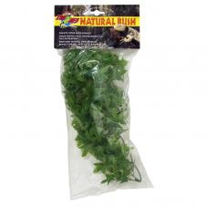 Zoo Med Natural Bush Congo Ivy (Plastic hanging plant)