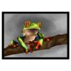 Greetings Cards - Tree Frog