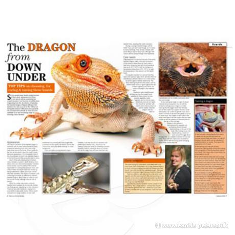 Practical Reptile Keeping - Issue 1 Dragons