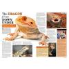 Practical Reptile Keeping - Issue 1 Dragons photo