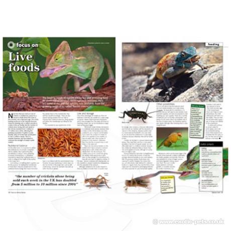 Practical Reptile Keeping - Issue 1 Live Foods