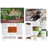 Practical Reptile Keeping - Issue 1 Live Foods photo