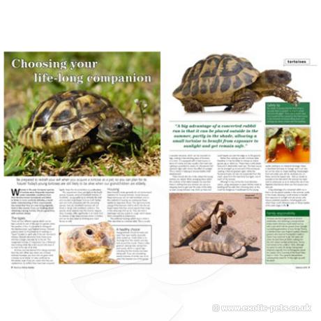 Practical Reptile Keeping - Issue 1 Choosing a Tortoise