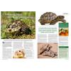Practical Reptile Keeping - Issue 1 Choosing a Tortoise photo