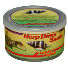 Lucky Reptile Herp Diner Snails (Canned foods)