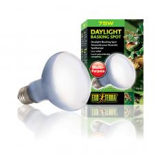 Exo Terra Daylight Basking Spot (Basking bulbs)