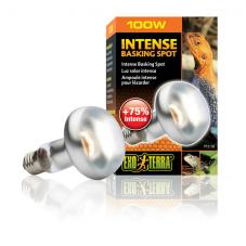 Exo Terra Intense Basking Spot (Basking bulbs)